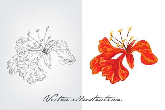 Download Flower Vector Illustration - Illustration Collection